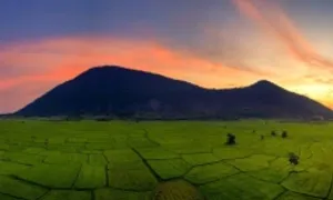 Muối tôm Tây Ninh 'về chung nhà' với Long An Muối tôm Tây Ninh 'về chung nhà' với Long An
