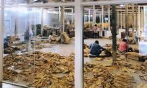 Quán cà phê Thái Lan bị chỉ trích là 'vườn thú người' Quán cà phê Thái Lan bị chỉ trích là 'vườn thú người'