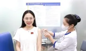 Làm gì phòng sốt xuất huyết trước khi bệnh vào mùa? Làm gì phòng sốt xuất huyết trước khi bệnh vào mùa?