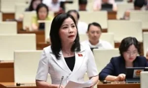 Đại biểu Quốc hội: 'Cơ quan quản lý ở đâu để cả chợ bán hàng giả' Đại biểu Quốc hội: 'Cơ quan quản lý ở đâu để cả chợ bán hàng giả'