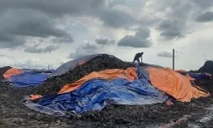 Doanh nghiệp đổ hàng nghìn tấn rác thải công nghiệp trái quy định Doanh nghiệp đổ hàng nghìn tấn rác thải công nghiệp trái quy định