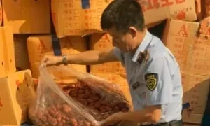 Hà Nội tạm giữ hơn 4 tấn táo đỏ nhập lậu Hà Nội tạm giữ hơn 4 tấn táo đỏ nhập lậu
