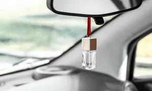 Dùng nước hoa khử mùi ôtô có hại sức khỏe không? Dùng nước hoa khử mùi ôtô có hại sức khỏe không?