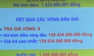 Mỏ cát ở Quảng Nam được trả gấp 105 lần mức khởi điểm sau đấu giá Mỏ cát ở Quảng Nam được trả gấp 105 lần mức khởi điểm sau đấu giá