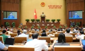 Thành lập Hội đồng Bầu cử quốc gia và bổ sung ủy viên Ủy ban Thường vụ Quốc hội Thành lập Hội đồng Bầu cử quốc gia và bổ sung ủy viên Ủy ban Thường vụ Quốc hội