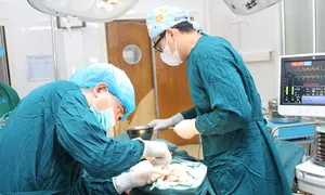 Hàng chục con giòi trong gò má người đàn ông Hàng chục con giòi trong gò má người đàn ông