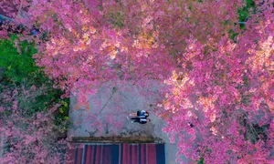 Cuộc sống muôn vẻ dưới ống kính bác sĩ nhiếp ảnh gia Cuộc sống muôn vẻ dưới ống kính bác sĩ nhiếp ảnh gia