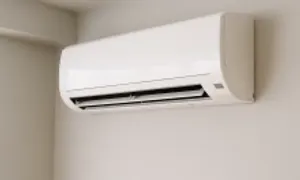 5 nguyên nhân gây bệnh hô hấp trong mùa hè 5 nguyên nhân gây bệnh hô hấp trong mùa hè