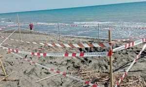 Du khách bị chôn sống khi đào hầm cát trên bãi biển Du khách bị chôn sống khi đào hầm cát trên bãi biển