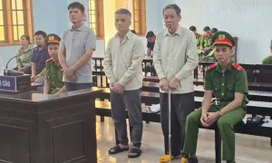 Bốn lần mở phiên tòa vụ công ty trồng rừng phá 30.000 m2 rừng