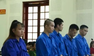 Giả gái xinh lừa hơn 19 tỷ đồng của người đàn ông