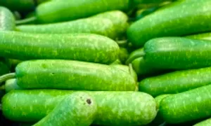 5 món bổ thận nên ăn thường xuyên 5 món bổ thận nên ăn thường xuyên