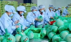 Thuế đối ứng 20% của Mỹ sẽ khiến nông, thủy sản Việt gặp khó Thuế đối ứng 20% của Mỹ sẽ khiến nông, thủy sản Việt gặp khó