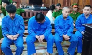 Hai Việt kiều bị cáo buộc thuê người đánh con nợ tử vong