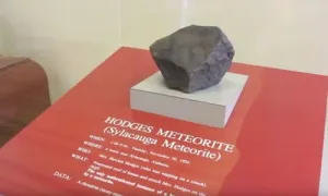 Người duy nhất trong lịch sử bị thiên thạch rơi trúng Người duy nhất trong lịch sử bị thiên thạch rơi trúng