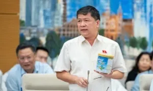 Đại biểu Quốc hội: 'Người dân phát hiện hàng giả không biết kêu ai' Đại biểu Quốc hội: 'Người dân phát hiện hàng giả không biết kêu ai'