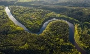 Nguy cơ của những rừng mưa lớn nhất thế giới