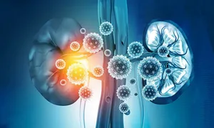 6 dấu hiệu cảnh báo thận suy yếu không nên bỏ qua 6 dấu hiệu cảnh báo thận suy yếu không nên bỏ qua