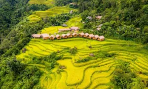 5 homestay ngắm mùa vàng ở Hoàng Su Phì
