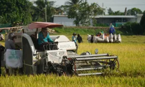 Vì sao người trẻ không muốn gắn bó nông nghiệp? Vì sao người trẻ không muốn gắn bó nông nghiệp?