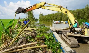 Đắp đê cứu lúa ở Đồng Tháp Mười mùa lũ