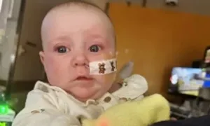 Nỗi ám ảnh sau những hộp sữa ByHeart nhiễm độc